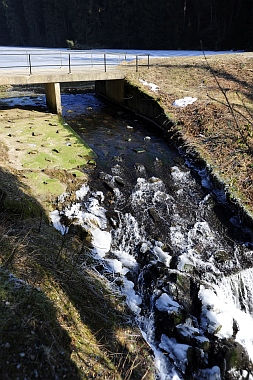Unterer Grumbacher Teich Oberharzer Wasserwirtschaft 350 Bilder